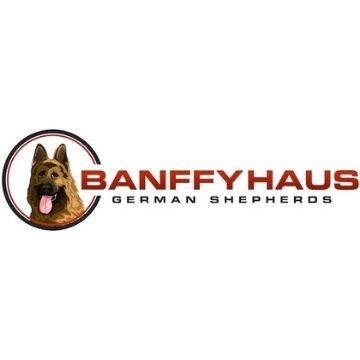 Banffy Haus German Shepherds